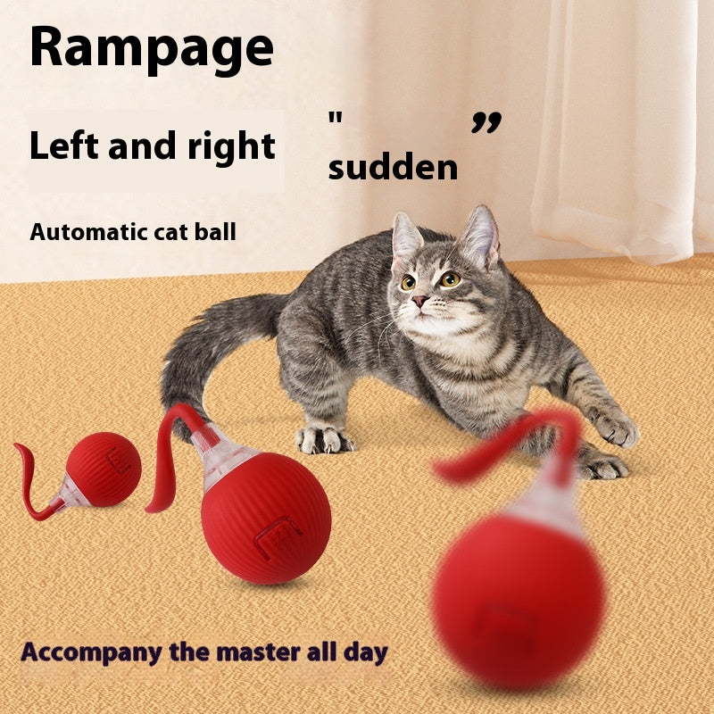 Rechargeable interactive cat ball with moving tail