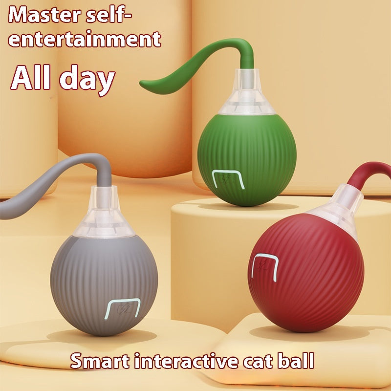 Motion activated cat toy ball for indoor cats